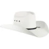 Cody James Boys' Elastic Fit Straw Cowboy Hat