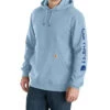 Carhartt Men's Loose Fit Midweight Logo Sleeve Graphic Hooded Sweatshirt - Big & Tall