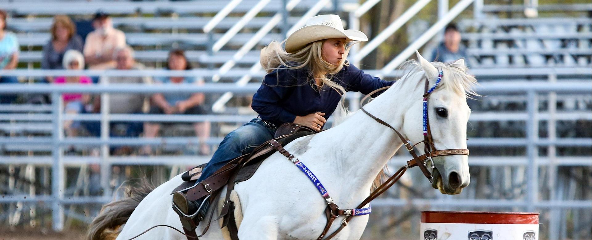 Western Cowboy Equipment Store -Western Cowboy Equipment Store rodeo 3578528 1920